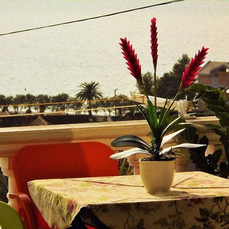 Villa Lastva Apartments 蒂瓦特 外观 照片